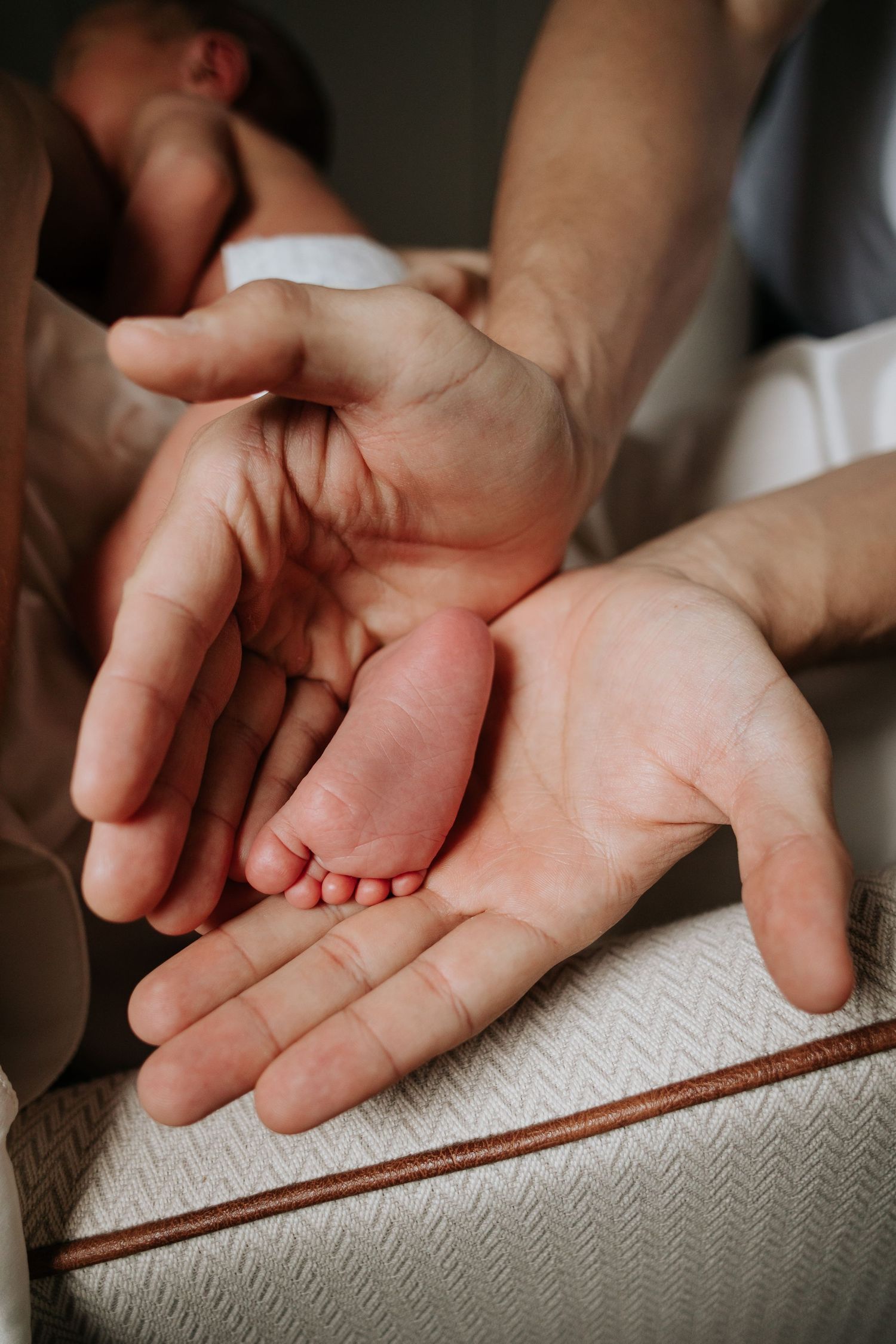 Tiny newborn baby feet resting in adult hands against a textured white surface.