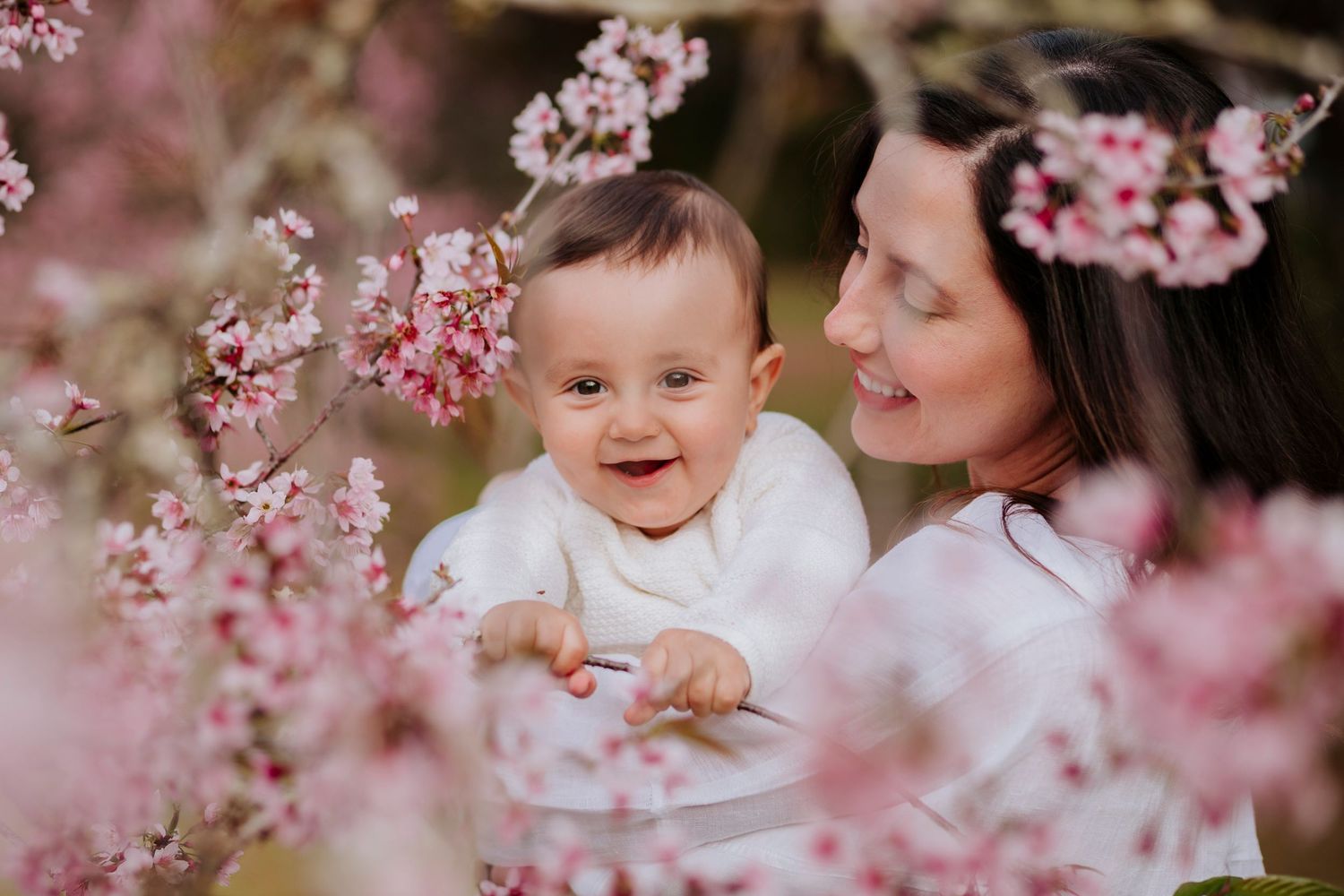 A tender moment captured among blooming pink cherry blossoms as parent and child share joyful smiles in springtime.