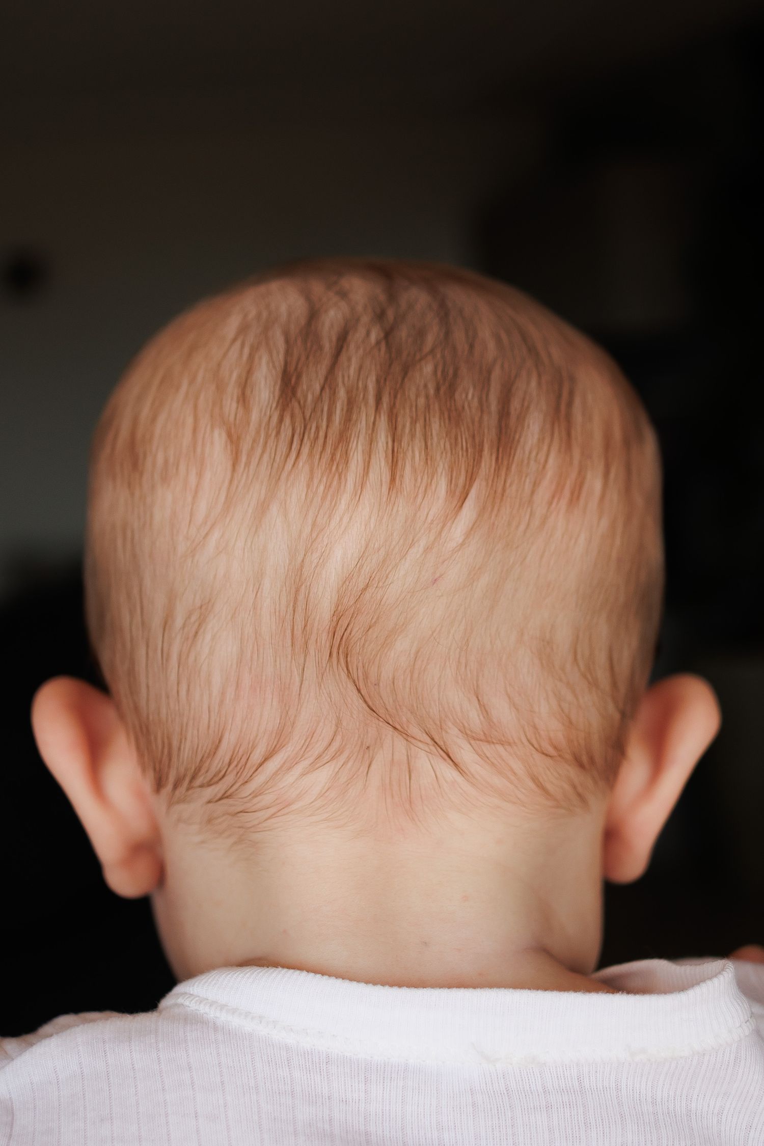 Close-up back view of a baby's head with fine, wispy reddish hair against a dark background.