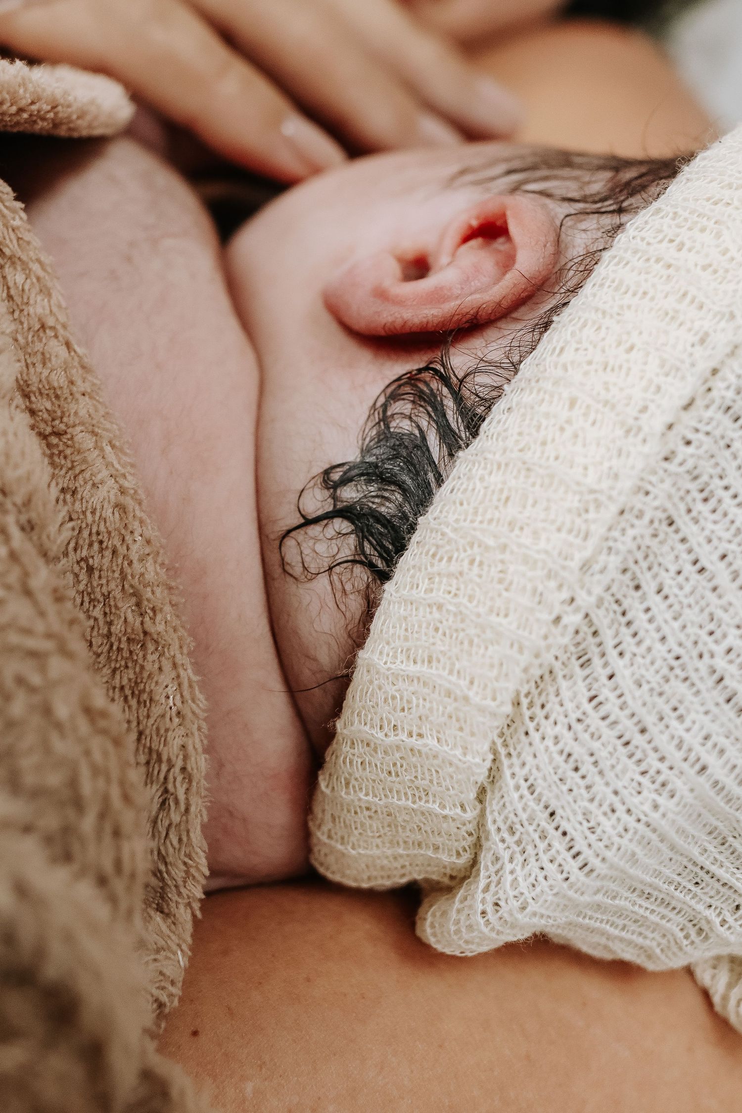 Macro shot of newborn baby's ear and hair against soft knit blanket.
