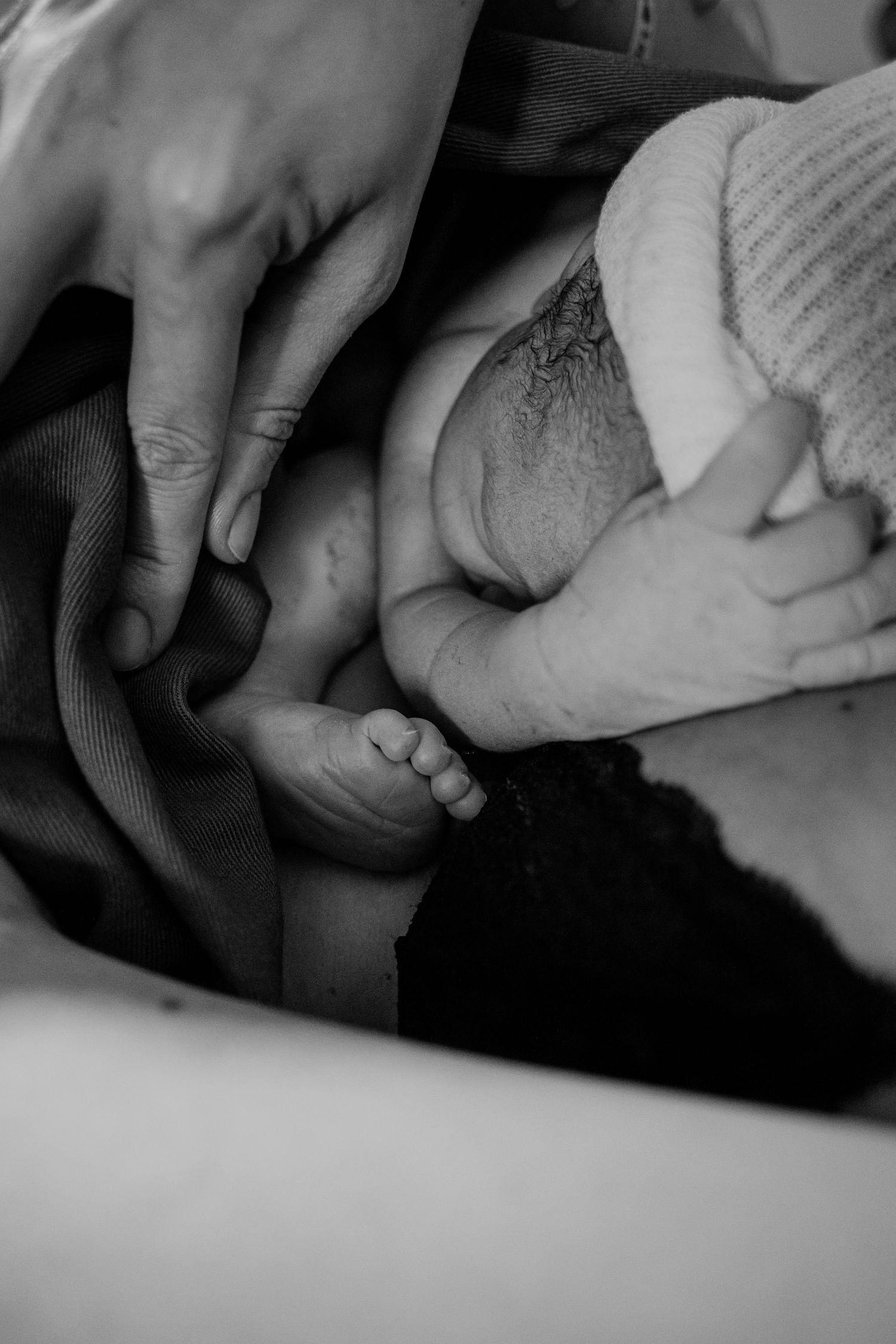 Close-up black and white photo of tiny newborn feet being gently held against soft fabric.
