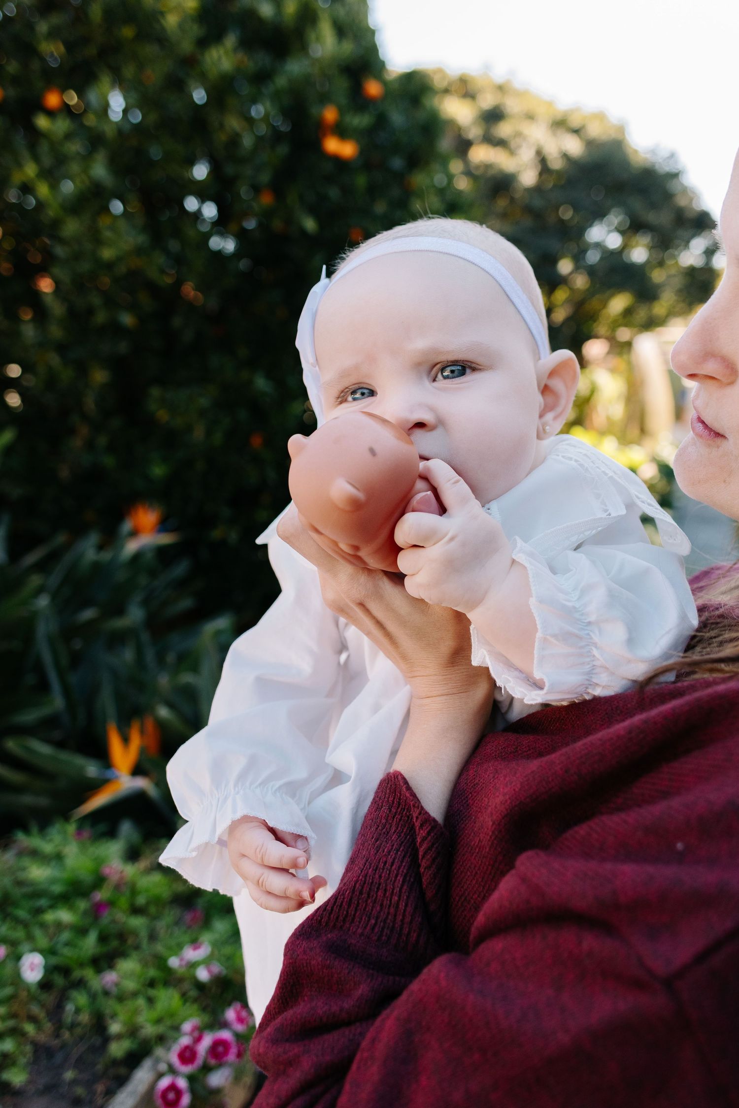 Baby wearing white lace outfit rests against caregiver in burgundy sweater in outdoor garden setting.