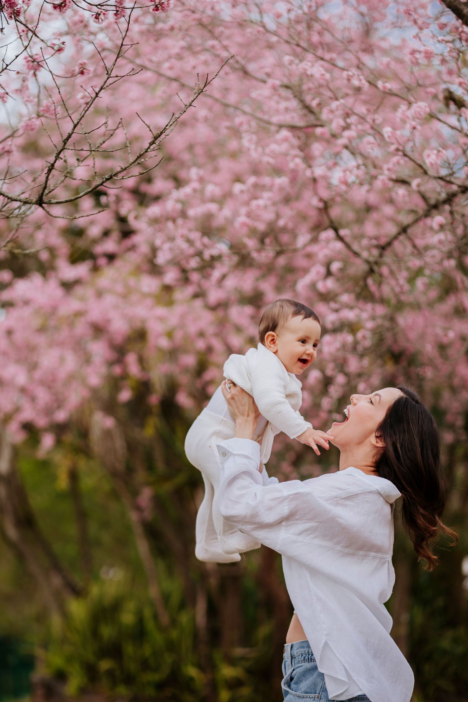 A joyful moment captured under blooming pink cherry blossoms in spring.