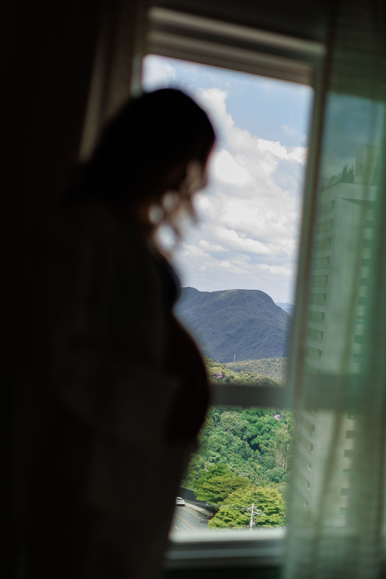 Silhouette of a person standing by a window with a scenic mountain and green forest view under a blue sky.