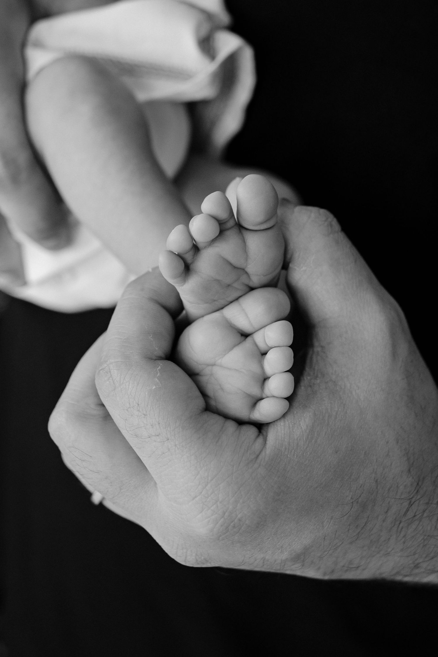 Close-up black and white photo of tiny baby feet being held in adult hands.