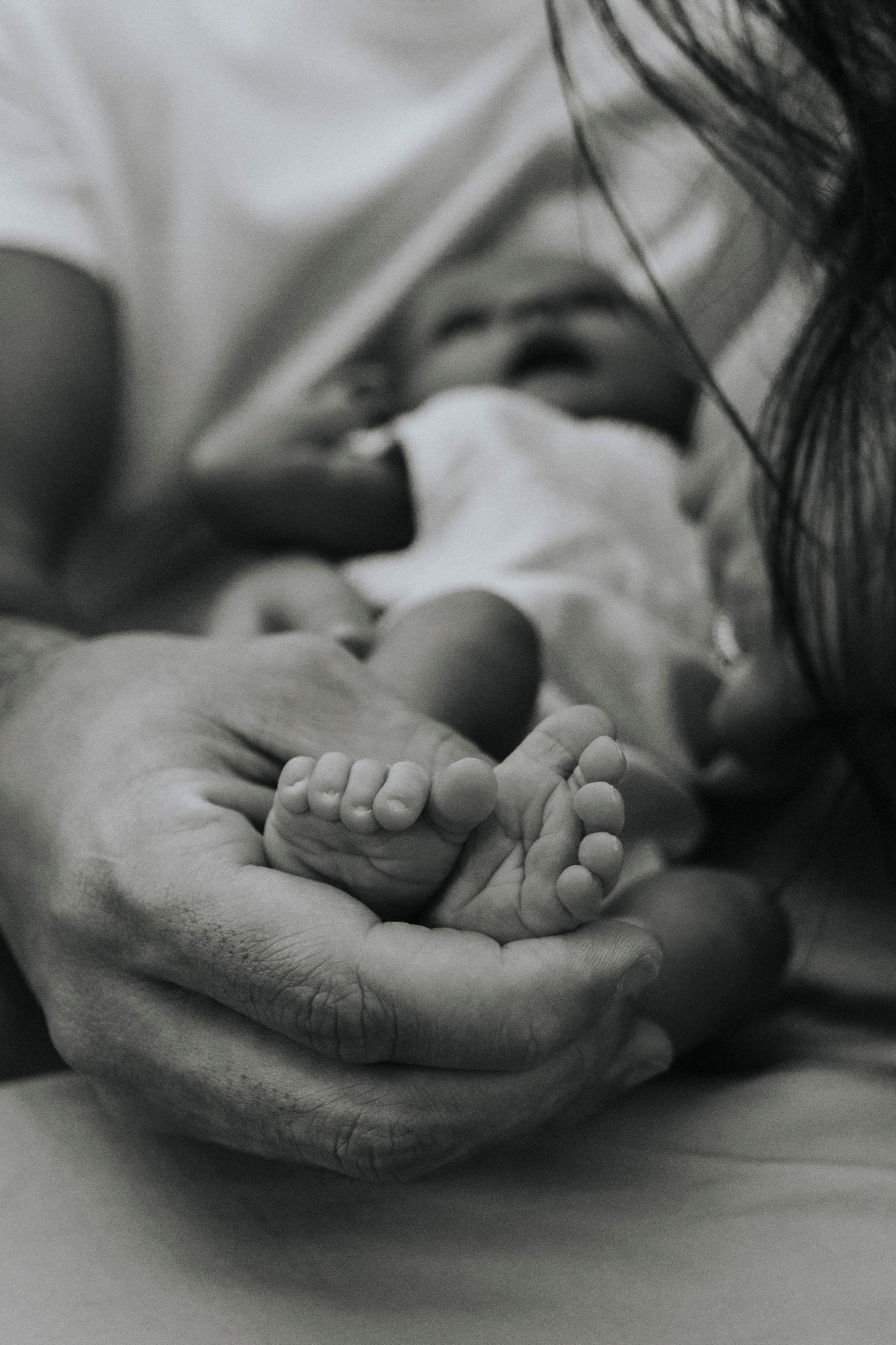 Close-up of tiny baby feet resting in adult hands in black and white.