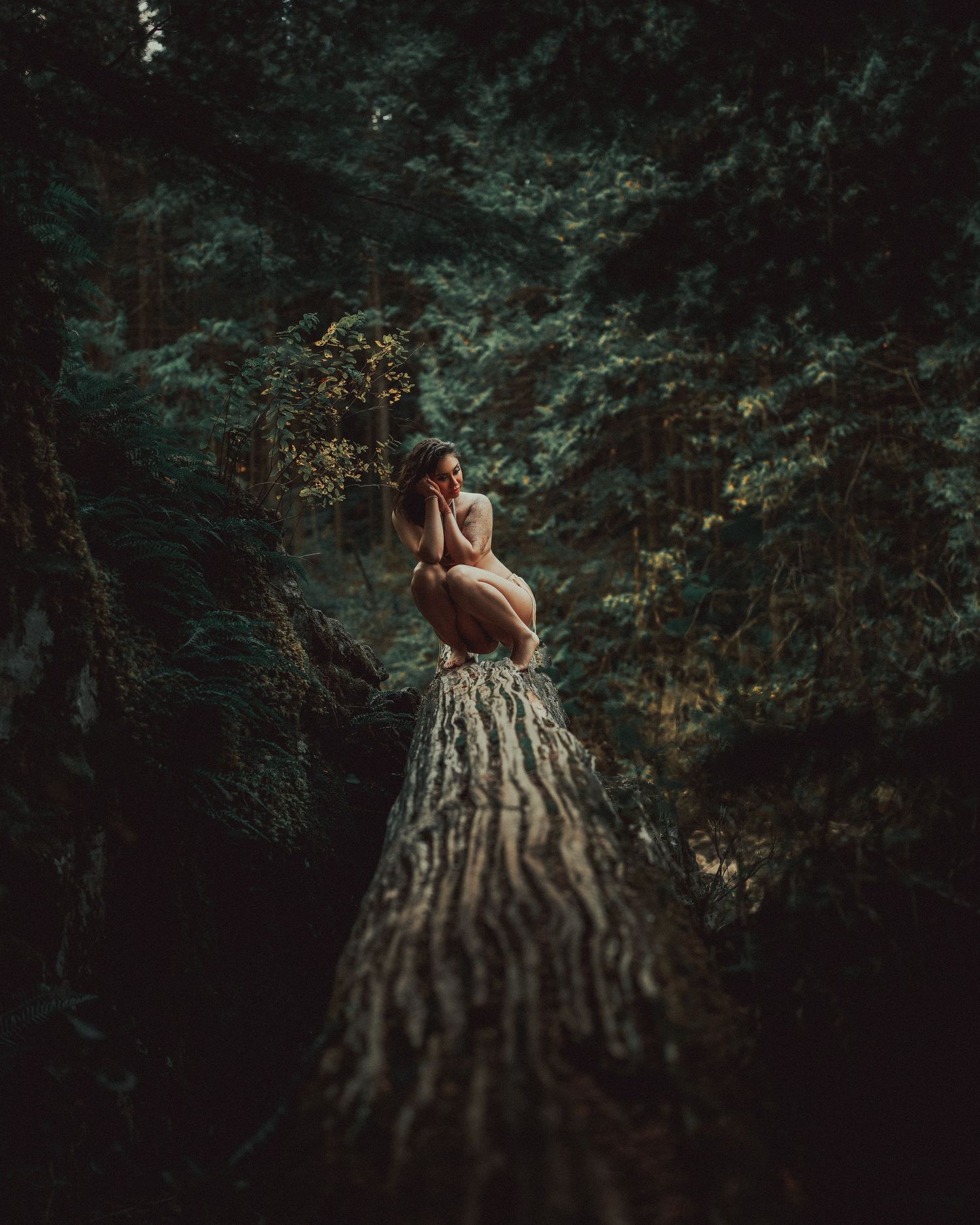 A figure sits on a fallen tree trunk in a moody forest setting surrounded by lush greenery and atmosphere.