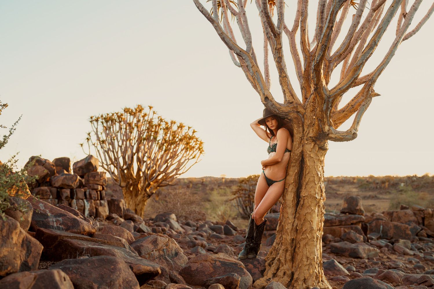 Artistic desert landscape photo with unique branching trees and rocky terrain.