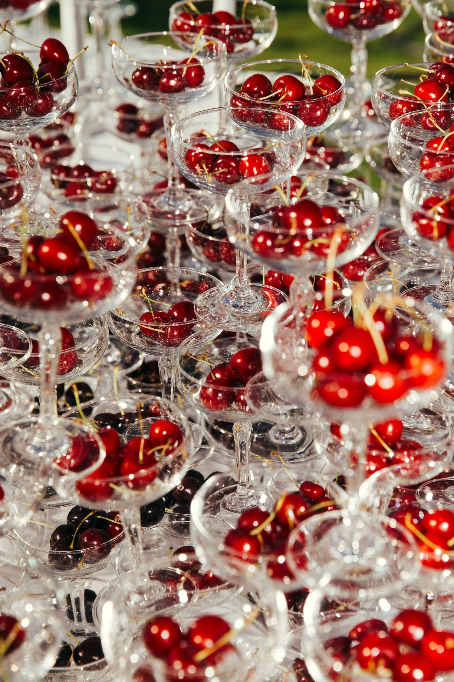 Multiple crystal coupe glasses filled with bright red cherries arranged in elegant rows.