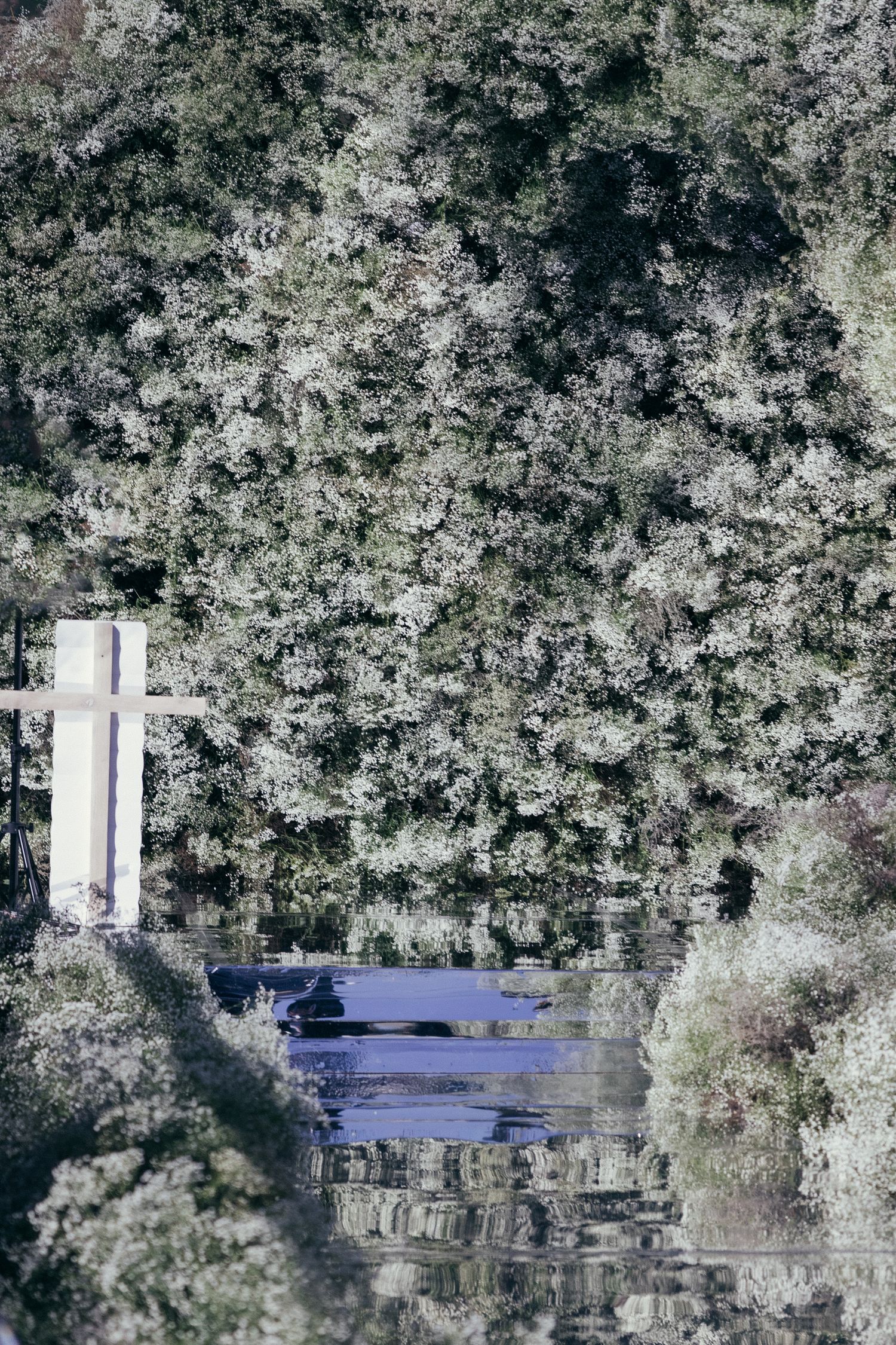 Aerial view of a white ceremony platform surrounded by blooming cherry blossom trees.