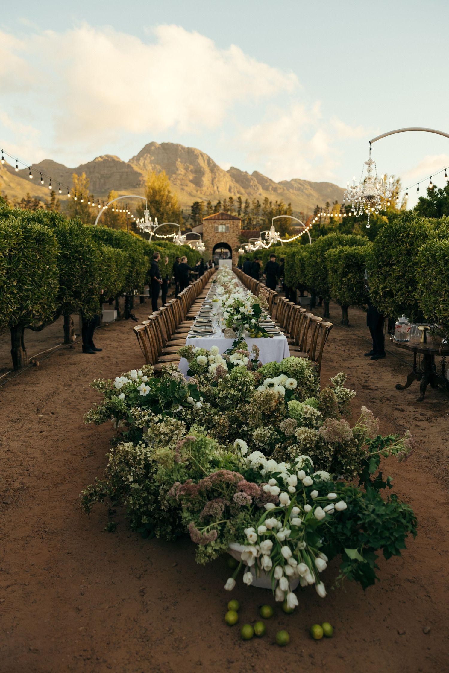 Mountain vineyard wedding ceremony setup with white floral arrangements lining the aisle.