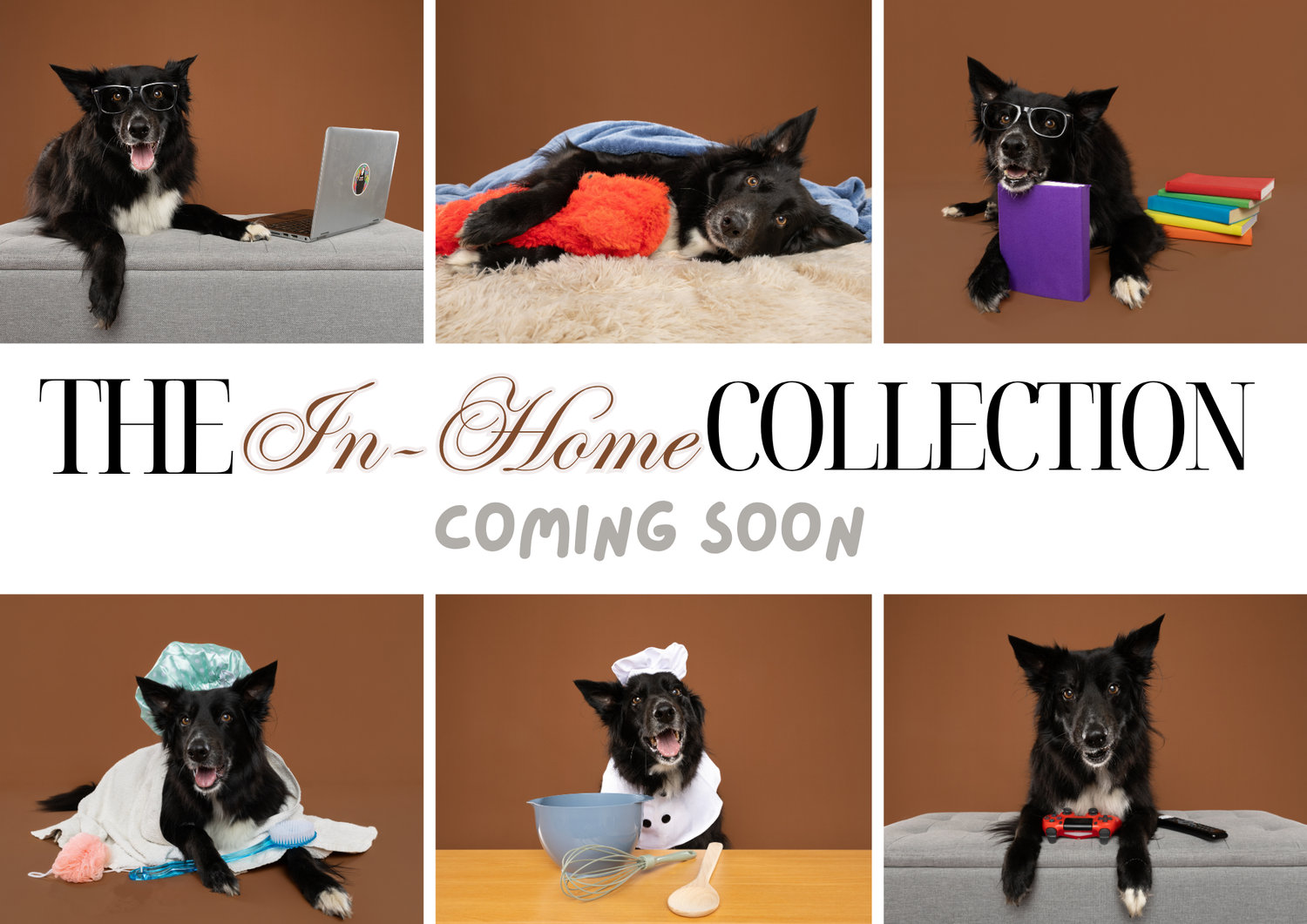 The in home Studio collection with KSPP
