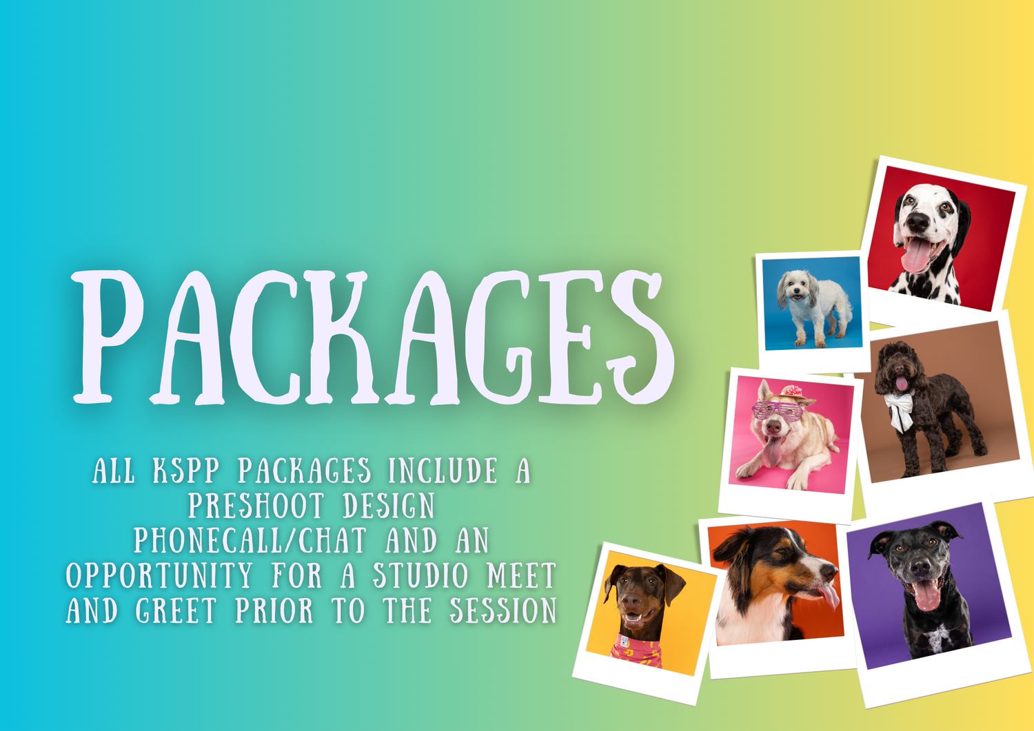 Koarlie Studios Pet Portraits Package