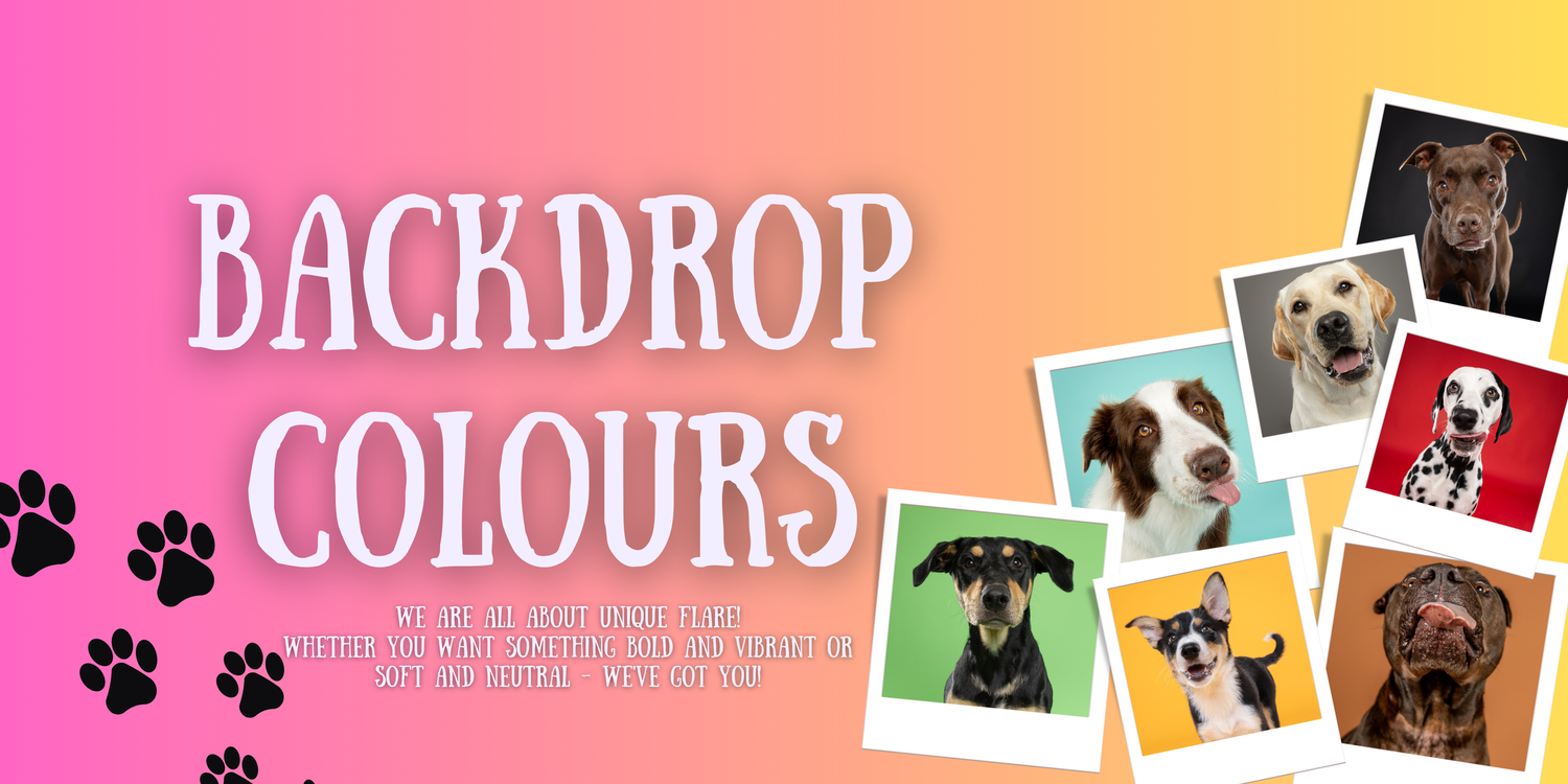 Koarlie Studios Pet Portraits Backdrop Colours