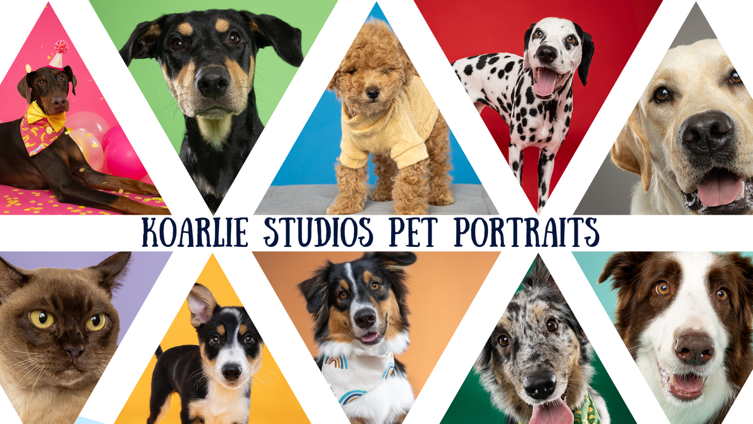 Koarlie Studios Pet Portraits Banner