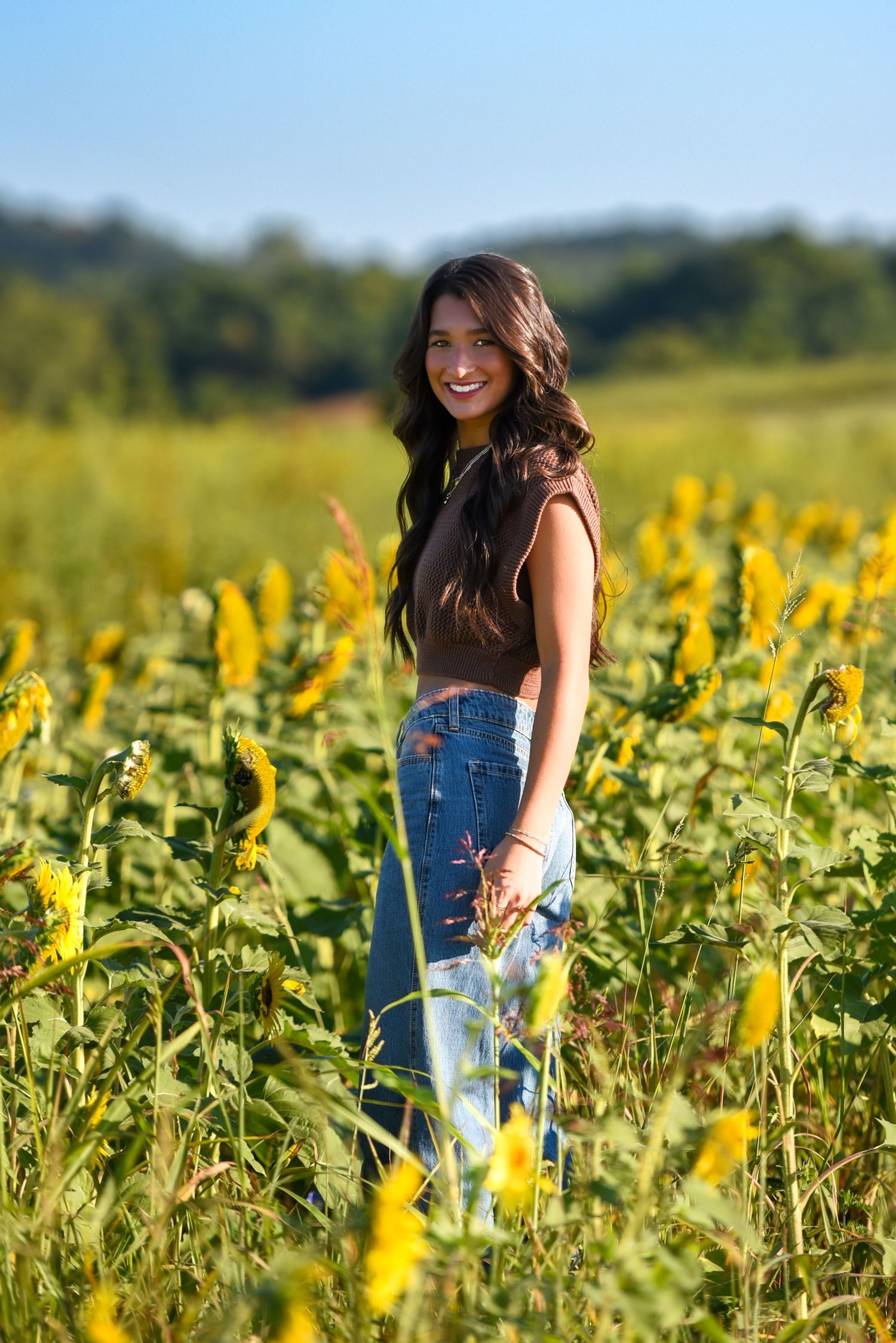Sunflower senior session