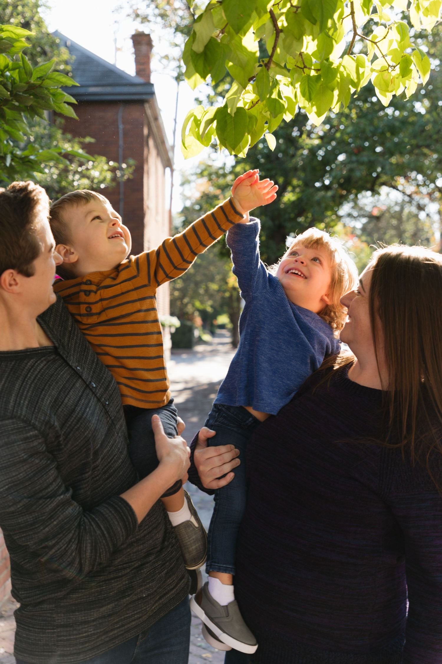 Family with two young children reaching up to touch green leaves on a sunny tree-lined street.
