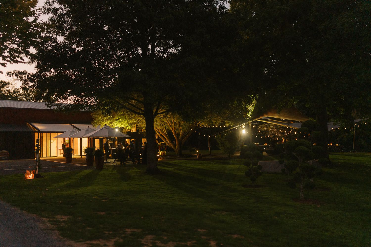 Outdoor wedding reception glowing with string lights and warm lanterns at dusk among tall trees.