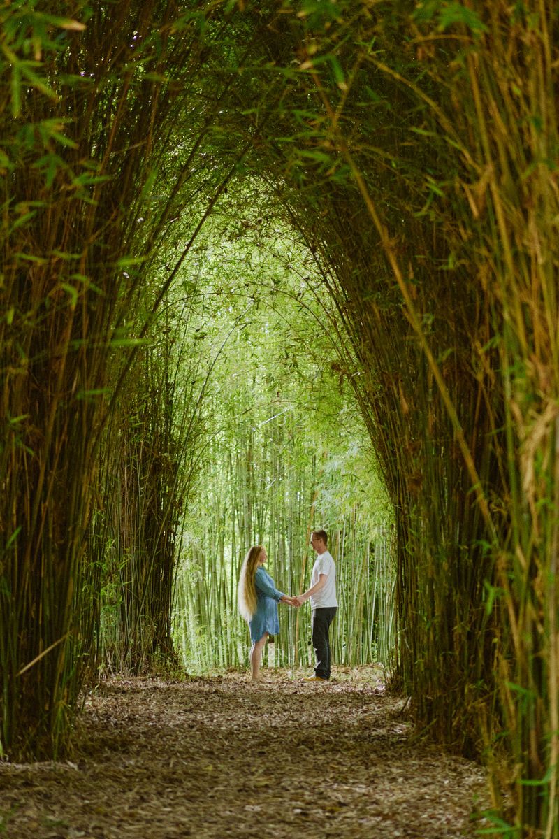 Couple holding hands in a lush green bamboo tunnel arch pathway surrounded by tall bamboo trees.