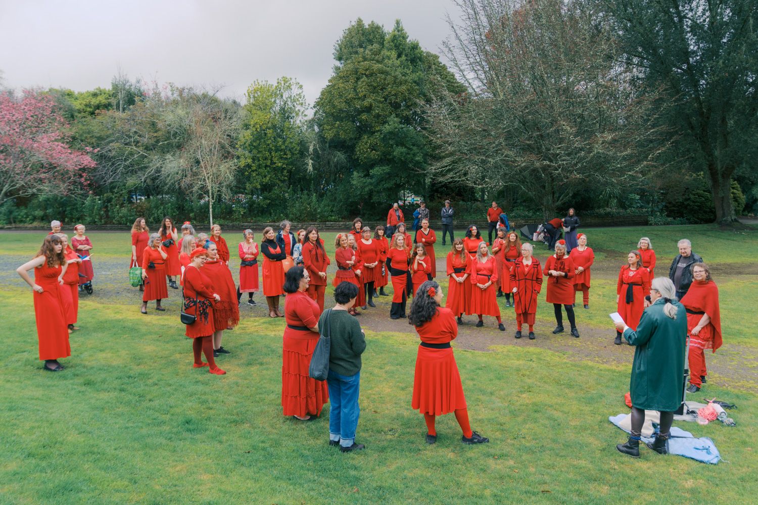 Large group of people dressed in red gathered on green park lawn surrounded by lush trees.