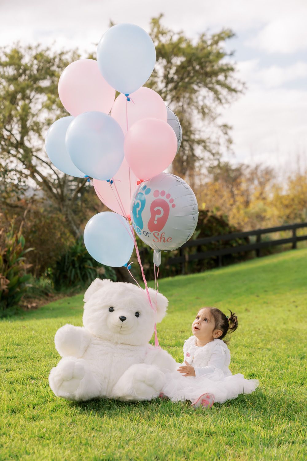 Toddler girl in white dress sits on grass beside large white teddy bear with pink and blue gender reveal balloons.