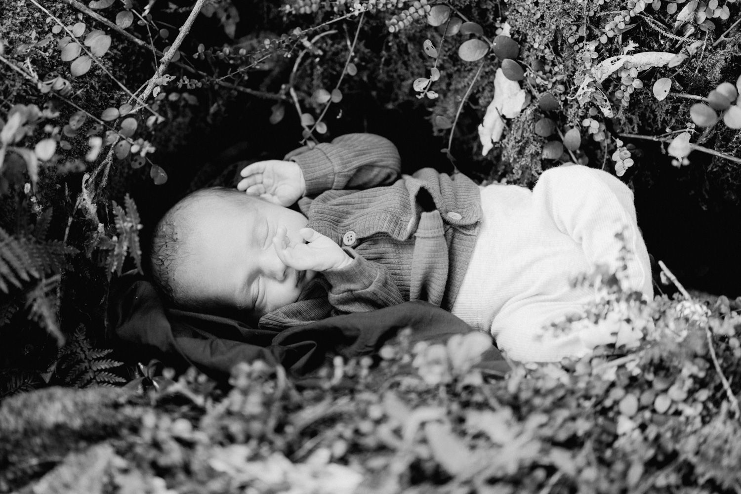 Black and white photo of a sleeping newborn baby nestled among leaves and branches outdoors.