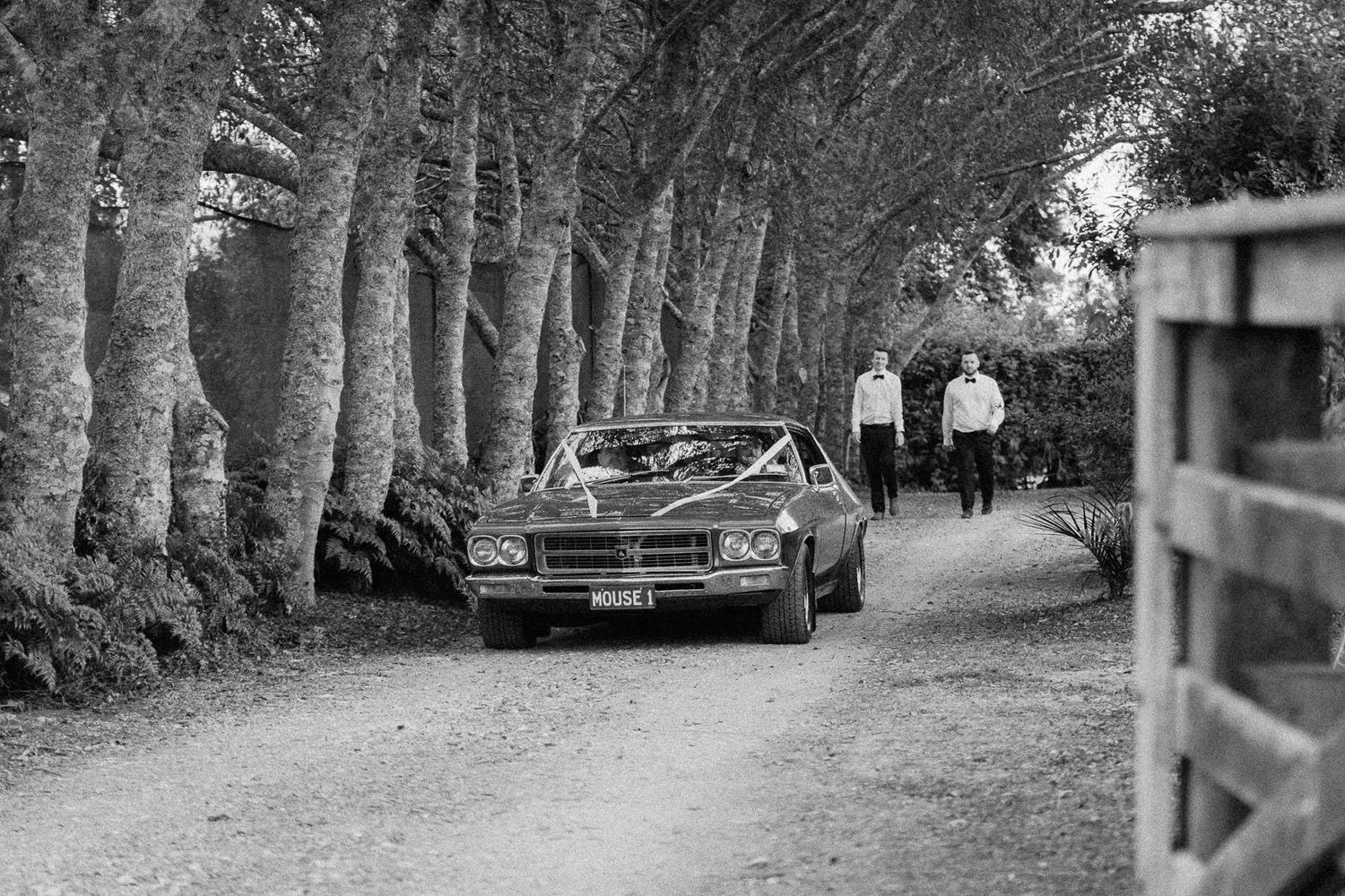 Black and white photo of a vintage car driving down a tree-lined gravel path with two people walking behind it.