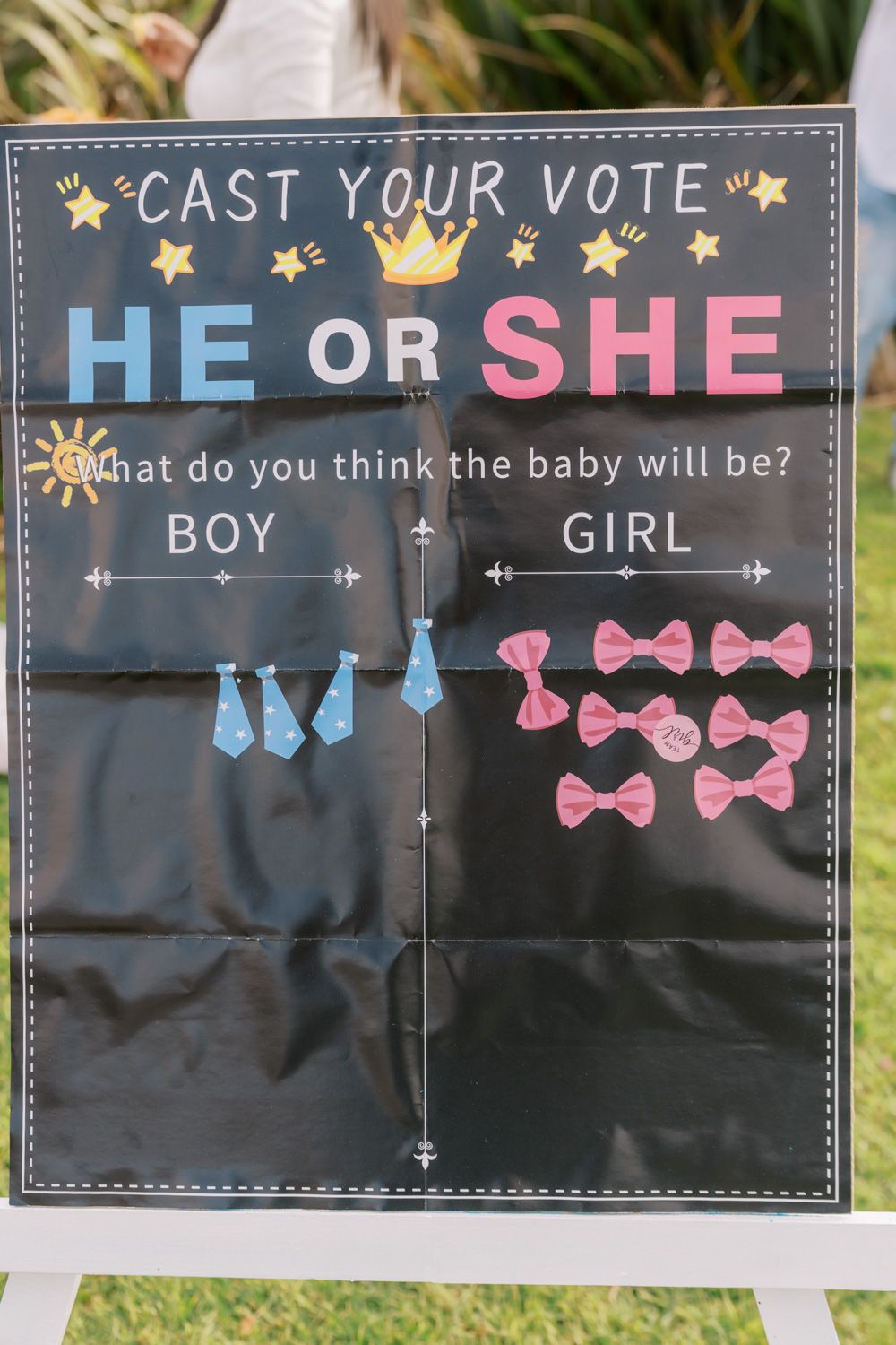 Gender reveal party voting board with blue boy ties and pink girl bows under 'Cast Your Vote He or She' sign.