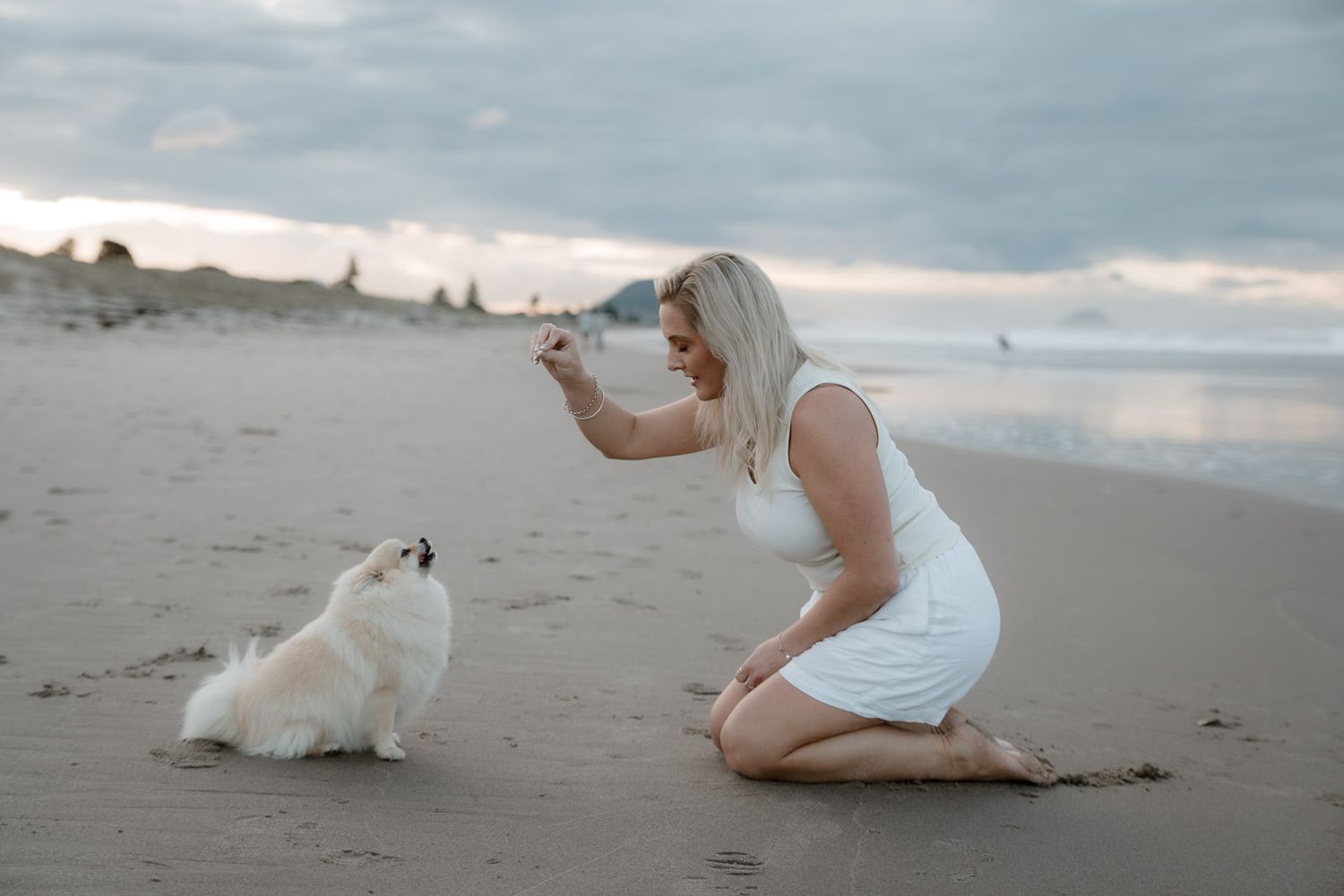 Blonde woman in white dress kneeling on beach training her fluffy white Pomeranian dog at sunset.