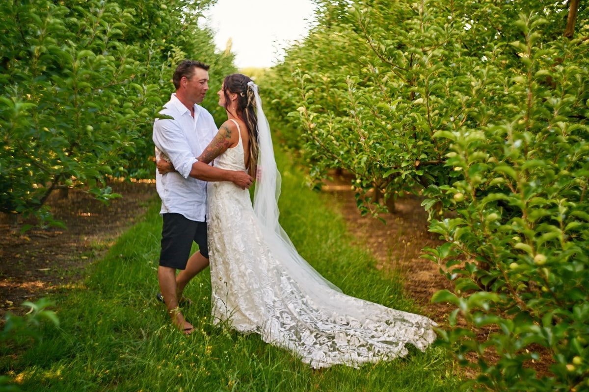Bride and groom embrace romantically in a lush green orchard, bride wearing elegant lace wedding gown with long veil.