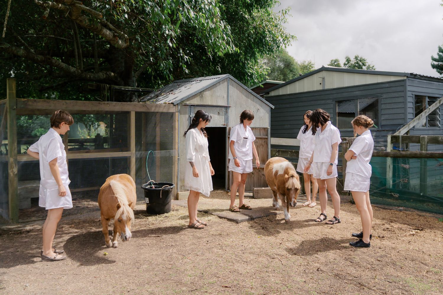 Six women in white coats interact with pigs outside a farm building surrounded by trees.