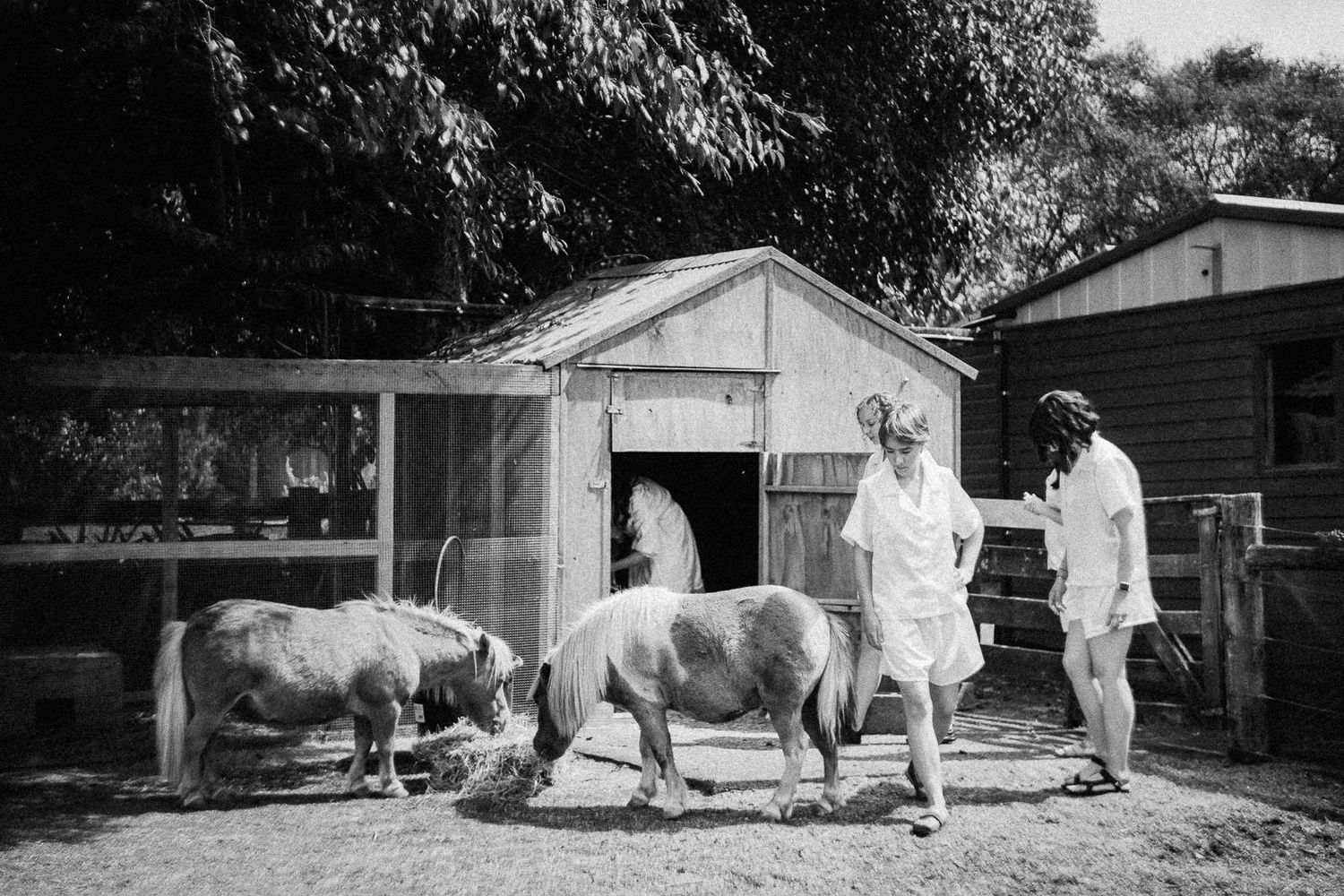 Black and white photo of two people with cows and a pony outside a rustic farm shed surrounded by trees.
