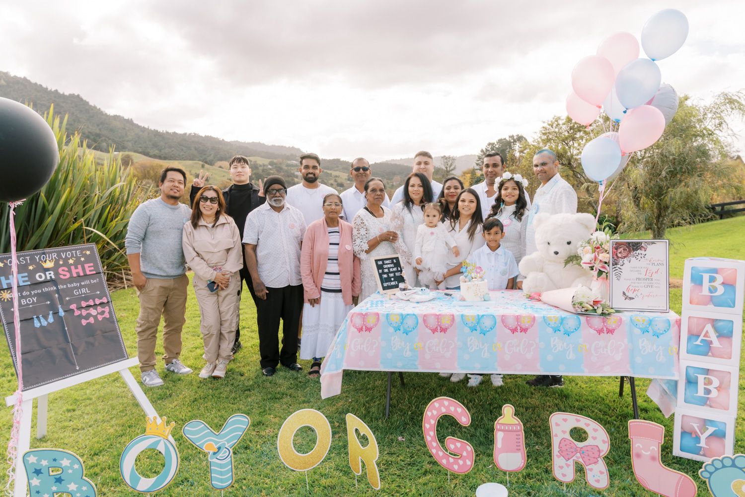Family and friends gather outdoors at a gender reveal party with pink and blue decorations and a Boy or Girl banner.