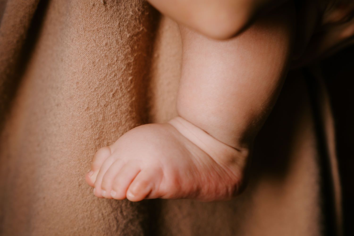 Close-up of tiny newborn baby feet resting on a soft brown blanket, capturing delicate details of infant toes.