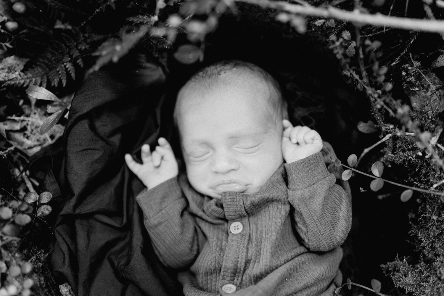 Peaceful newborn baby sleeping outdoors surrounded by leaves in a black and white photo.