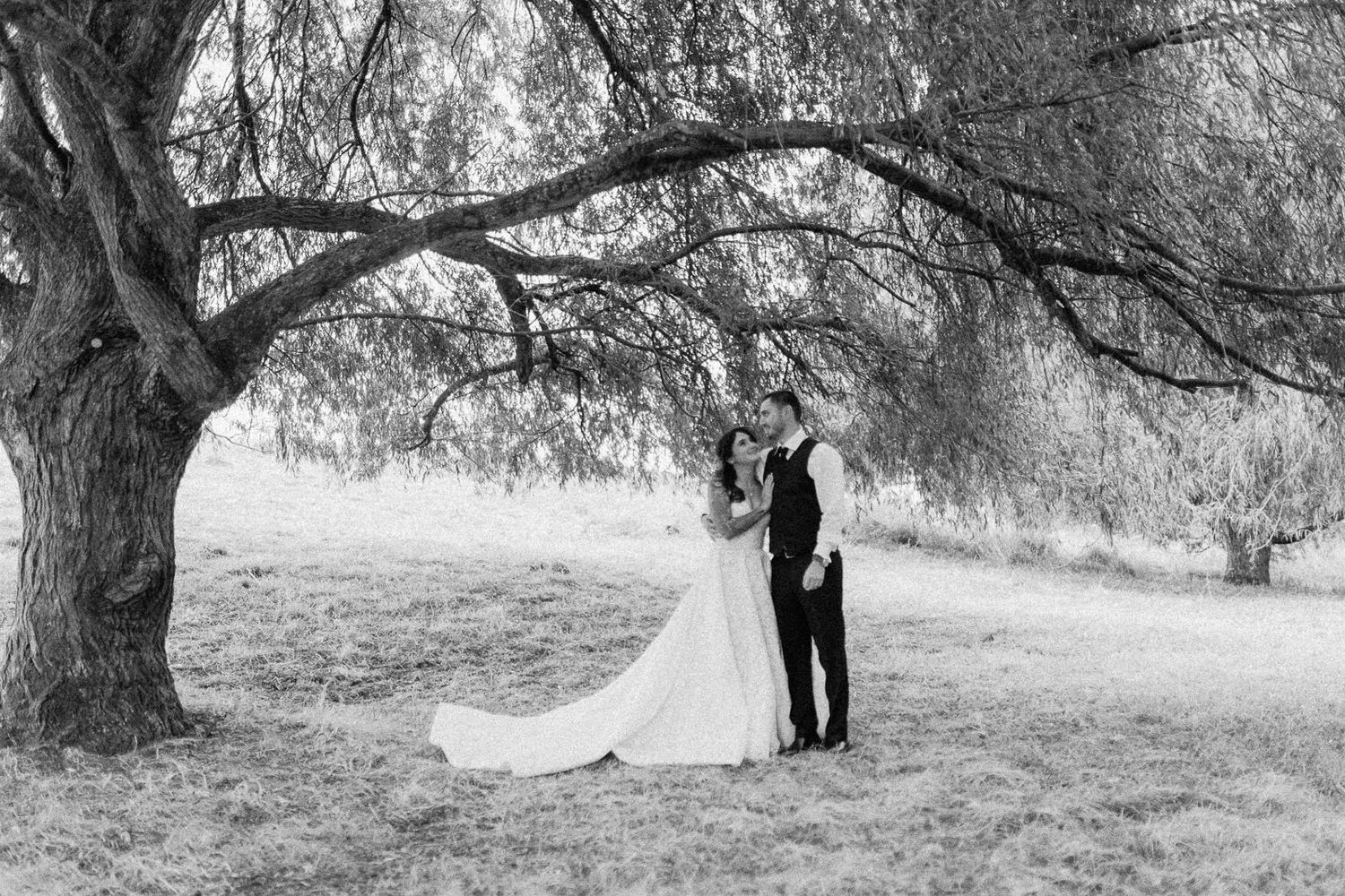 Black and white wedding photo of bride and groom embracing under a large willow tree in an open field.