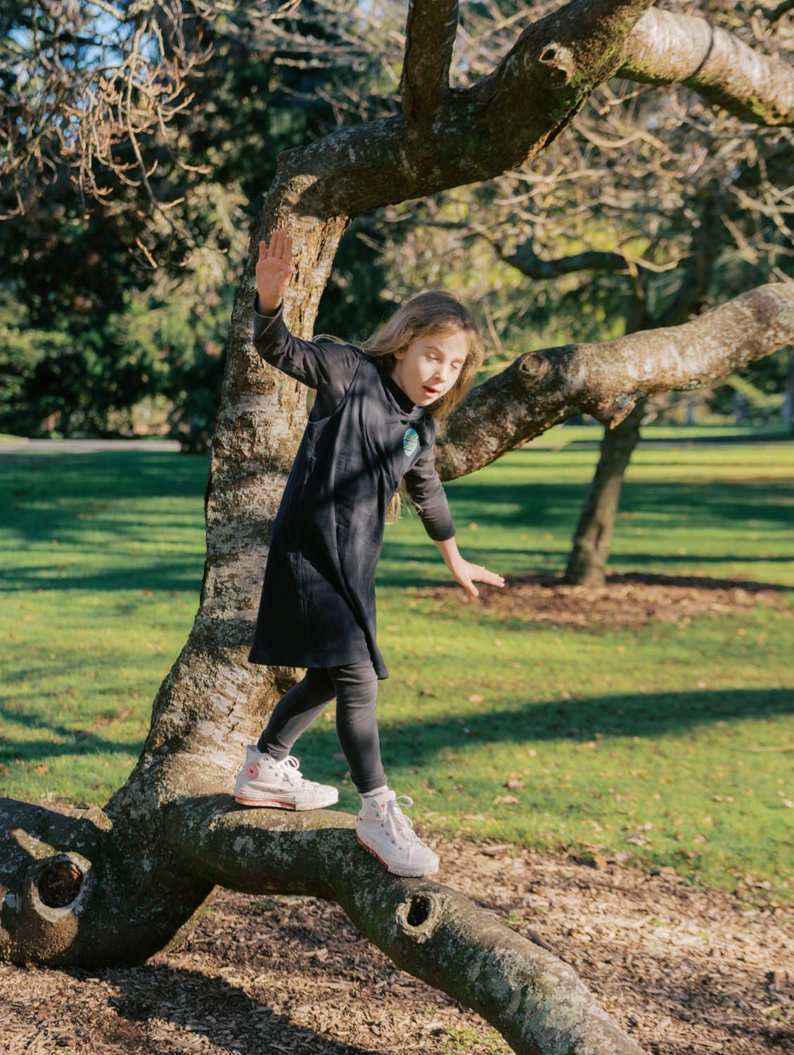 A young girl balancing on a large tree branch in a sunny green park.