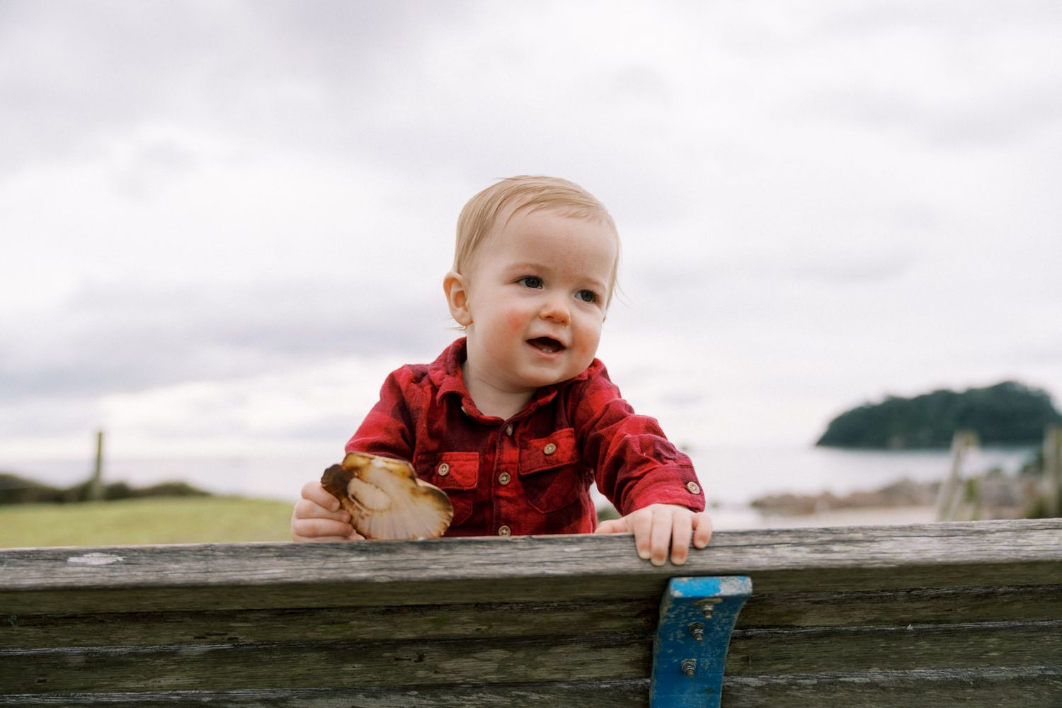 A curious baby in a red plaid shirt peeks over a wooden fence outdoors on a cloudy day.