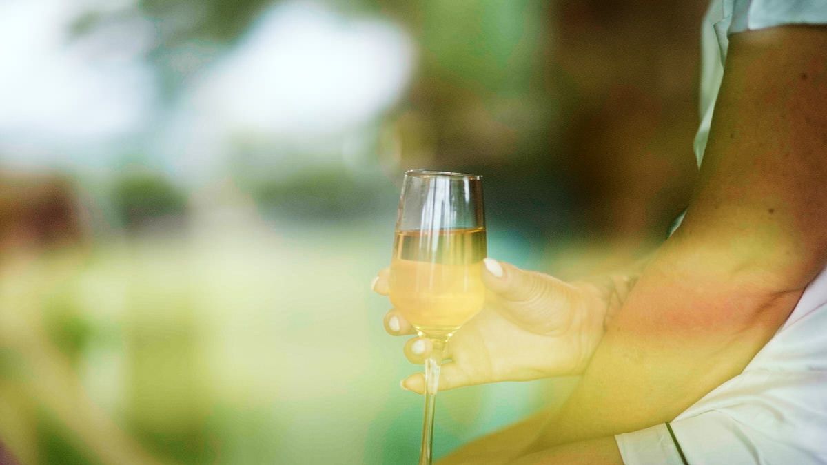 Person holding a elegant champagne flute with golden sparkling wine outdoors in a lush green garden setting.