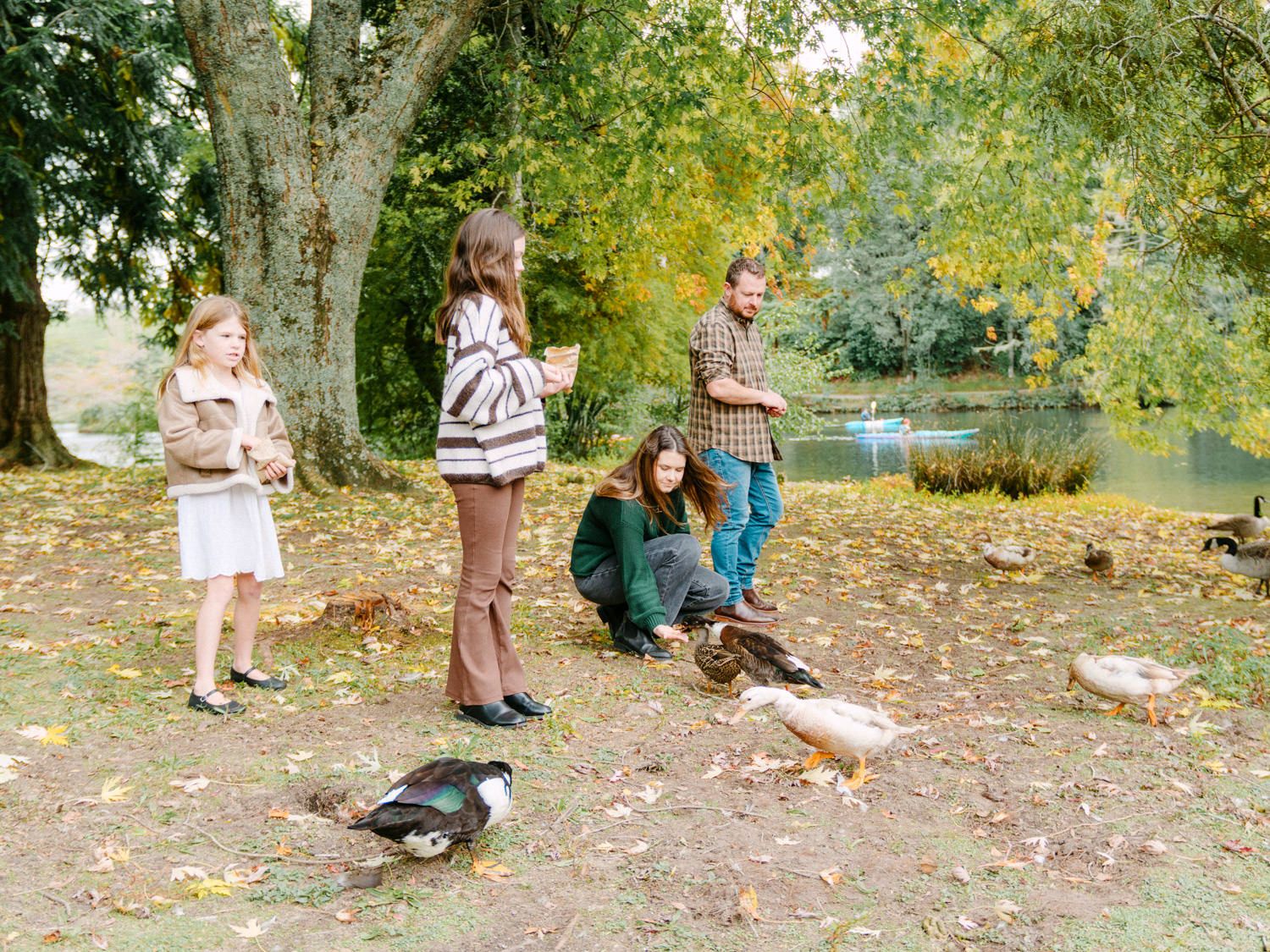 Children feeding ducks by a pond in an autumn park with fallen leaves and green trees.
