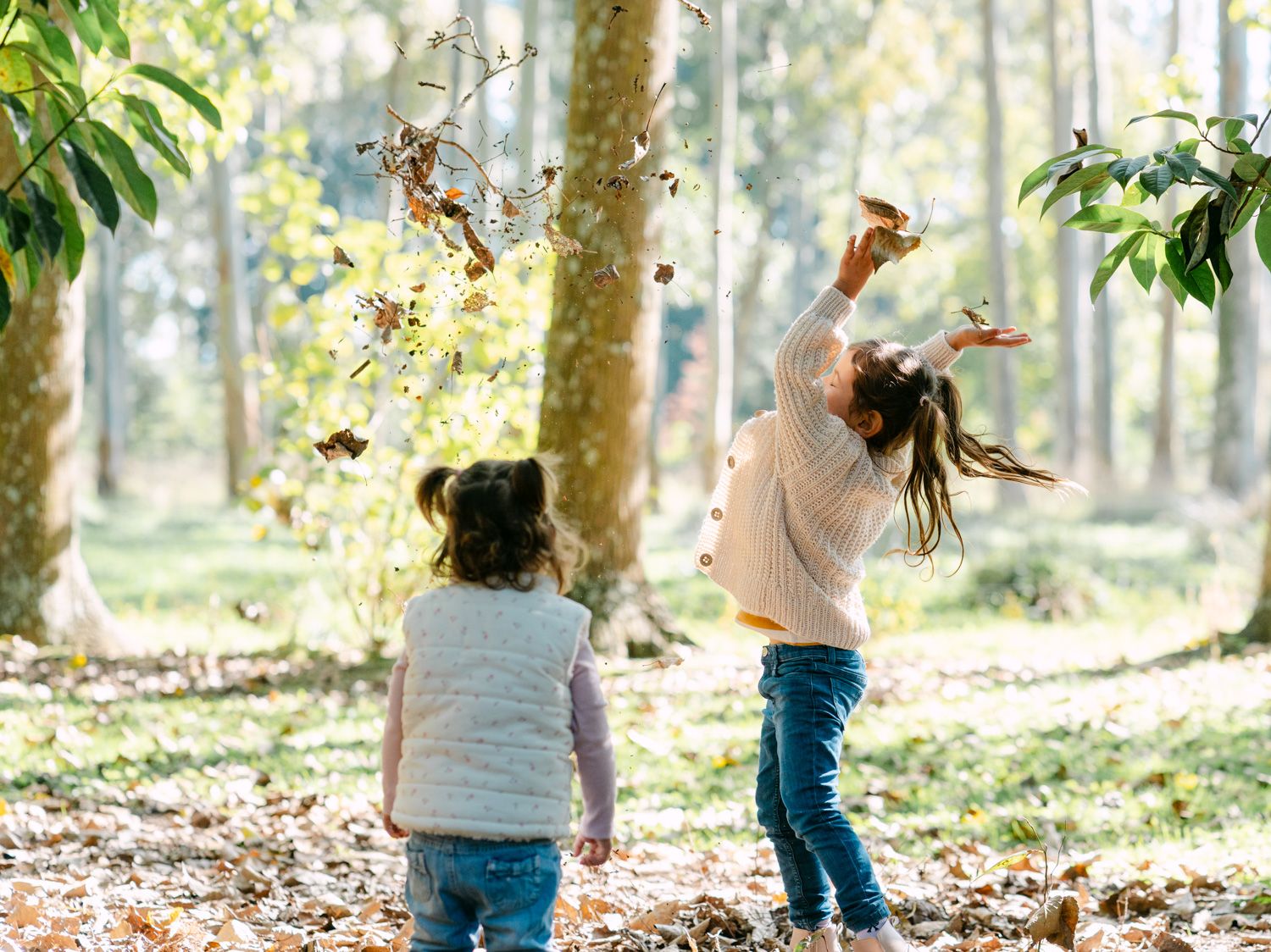 Two children playing in an autumn forest, tossing fallen leaves into the air among tall trees.