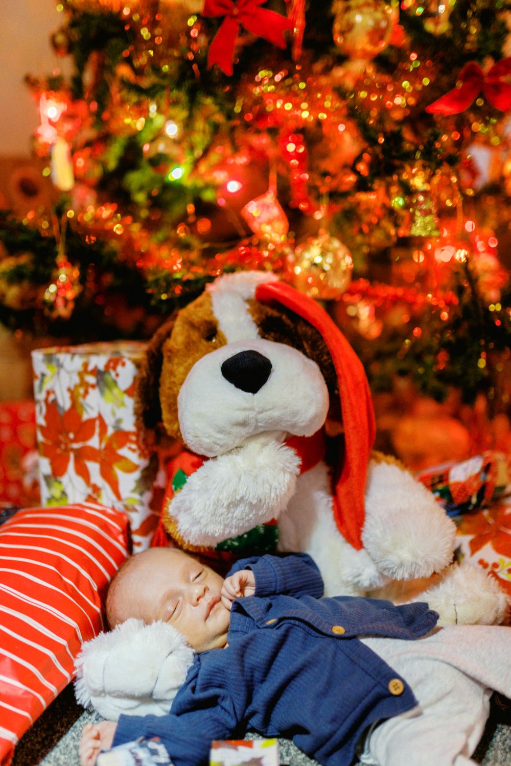Sleeping newborn baby beside a stuffed dog toy wearing a Santa hat in front of a glowing Christmas tree.