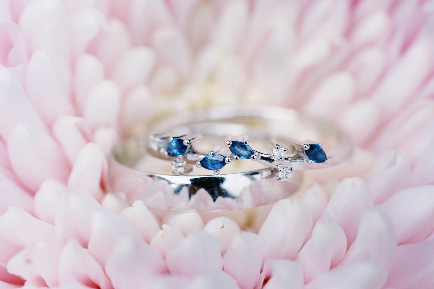 Silver rings with blue sapphire stones resting on soft pink flower petals, elegant bridal jewelry photography.