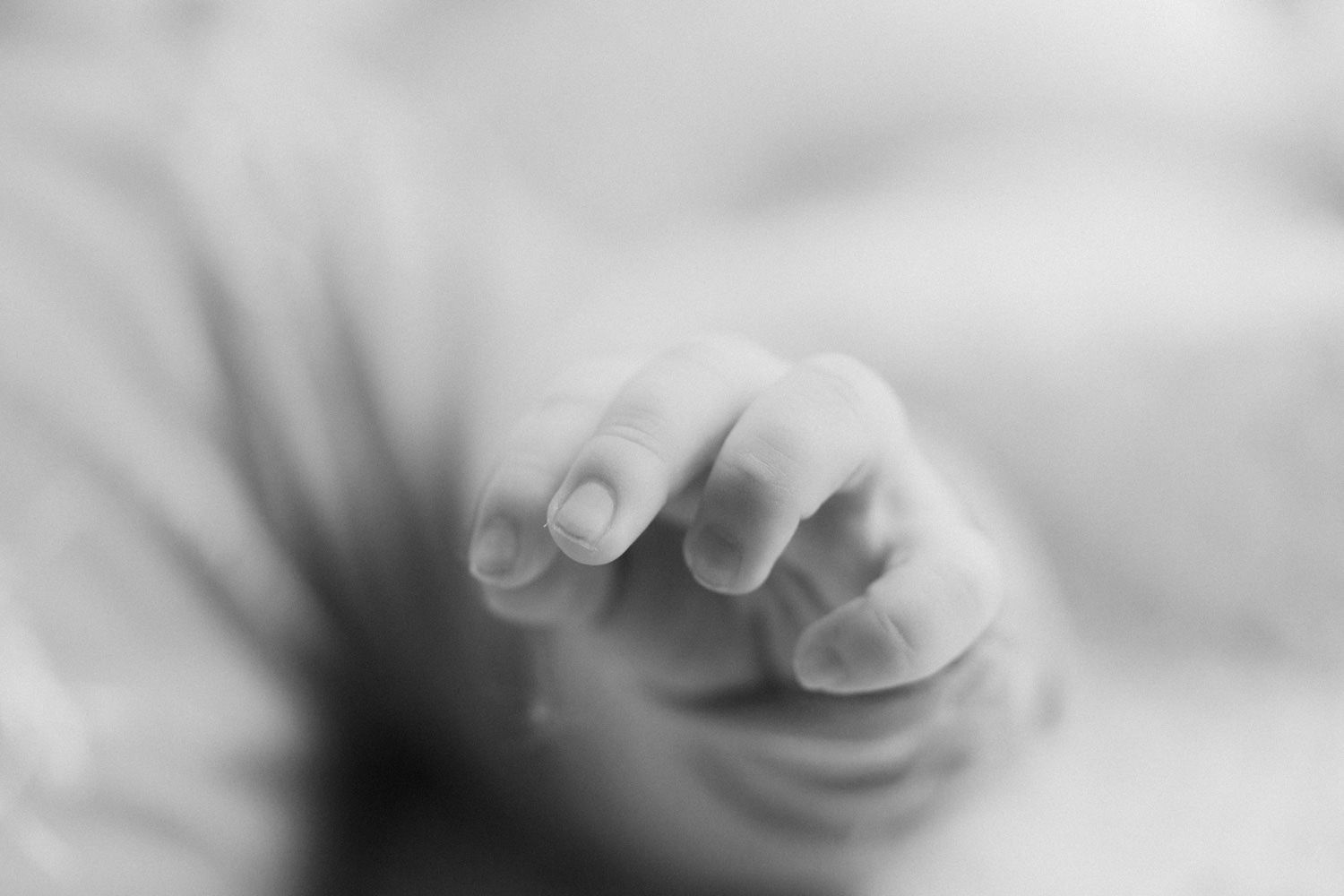 Close-up black and white photo of a newborn baby's tiny delicate hand with soft focus background.