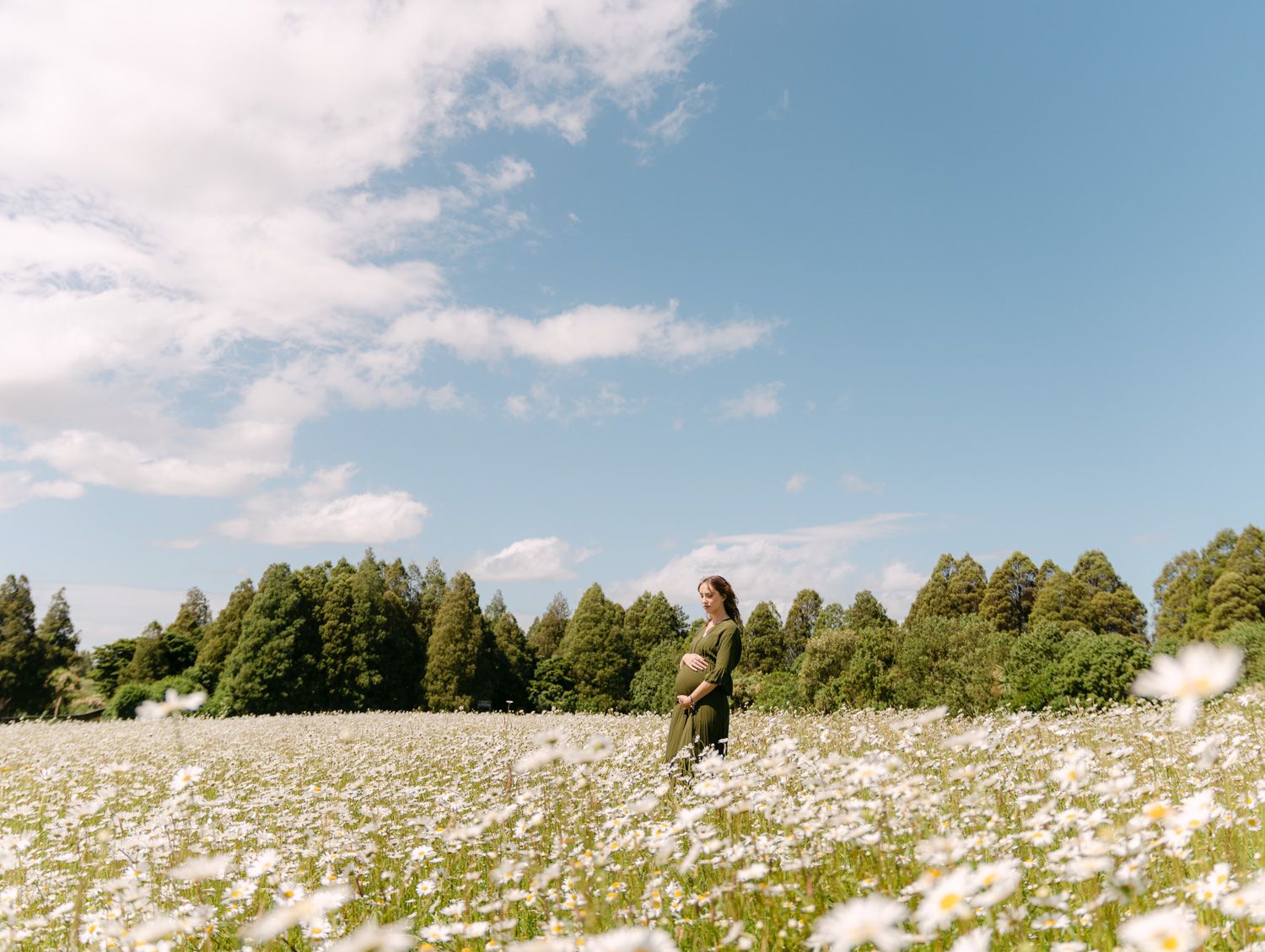 Woman standing in a vast white daisy field under blue sky, surrounded by tall green trees in the background.