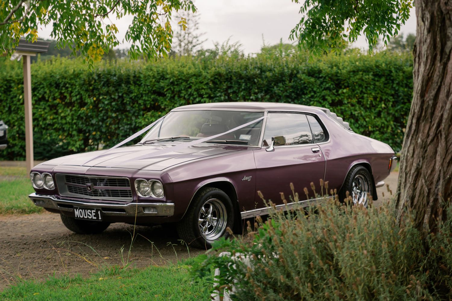 Vintage burgundy Holden Monaro muscle car decorated with white ribbon parked on grass at an outdoor wedding venue.