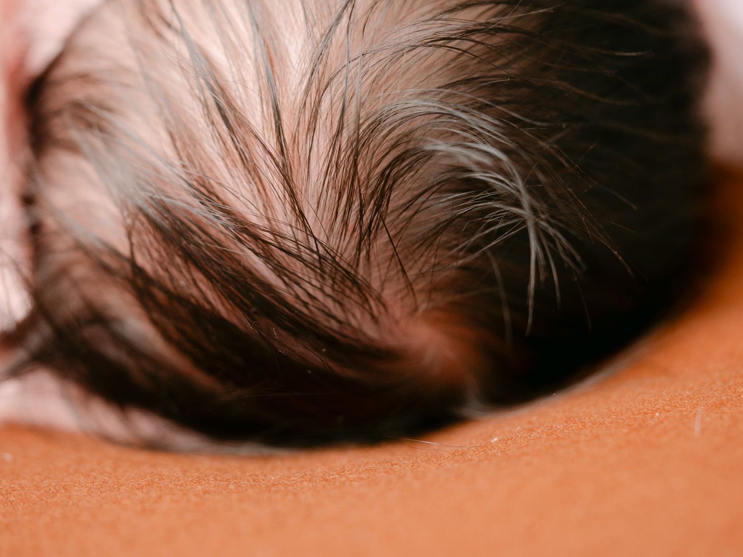 Close-up of a newborn baby's soft dark hair on the top of their head resting on a warm brown surface.