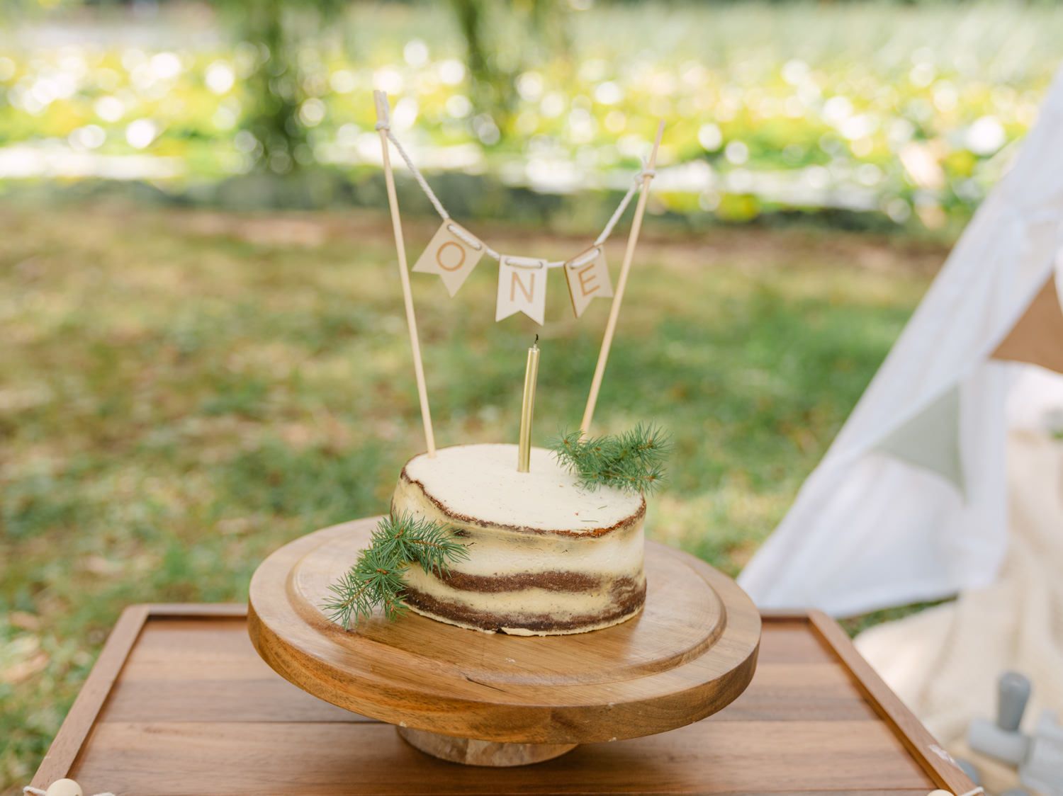 Rustic naked cake on wooden stand with ONE banner topper displayed outdoors at a first birthday party.
