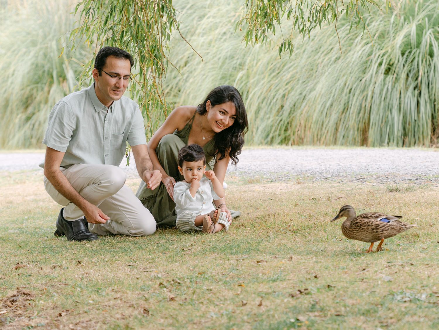 Family with toddler crouching on grass watching a mallard duck in a park with willow trees.