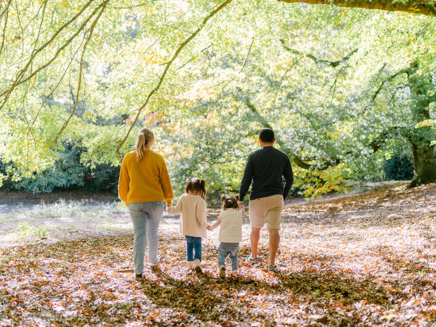 Family of four walking through autumn forest with fallen leaves, viewed from behind on a sunny day.